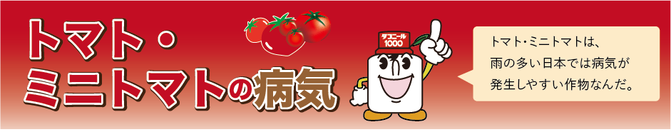トマト・ミニトマトの病気：トマト･ミニトマトは、雨の多い日本では病気が発生しやすい作物なんだ。