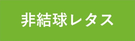 非結球レタス