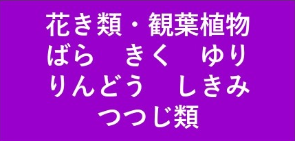 花き類・観葉植物ばら きく ゆりりんどう しきみつつじ類