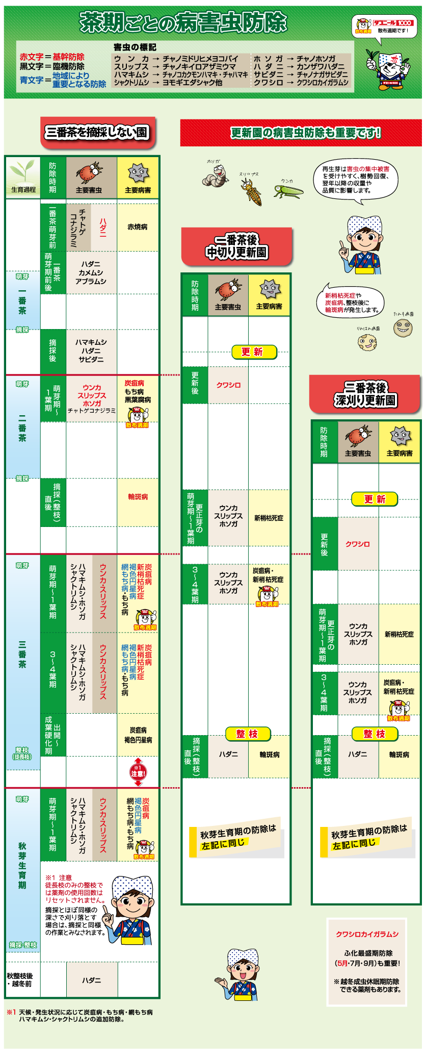 茶期ごとの病害虫防除 病害虫の標記：ウンカ→チャノミドリヒメヨコバイ スリップス→チャノキイロアザミウマ ハマキムシ→チャノコカクモンハマキ・チャハマキ シャクトリムシ→ヨモギエダシャク他 ホソガ→チャノホソガ ハダニ→カンザワハダニ サビダニ→チャノナガサビダニ クワシロ→クワシロカイガラムシ
				 【三番茶を摘採しない園】●一番茶　一番茶萌芽前：ハダニ、チャトゲコナジラミ、赤焼病。一番茶萌芽期前後：ハダニ、カメムシ、アブラムシ。摘採後：ハマキムシ、ハダニ、サビダニ
				 ●二番茶　萌芽期〜1葉期：、ウンカ、スリップス、ホソガ、チャトゲコナジラミ。炭疽病、もち病、黒葉腐病＝ダコニール1000散布適期。摘採（整枝）直後： 輪斑病。
				 ●三番茶　萌芽期～１葉期：ハマキムシ、ホソガ、シャクトリムシ、ウンカ、スリップス。炭疽病・新梢枯死症、褐色円星病、網もち病・もち病＝ダコニール1000散布適期。３～４葉期：ハマキムシ、ホソガ、シャクトリムシ、ウンカ、スリップス、炭疽病・新梢枯死症、褐色円星病、網もち病・もち病。出開～成葉硬化期：炭疽病、褐色円星病。
				 ●秋芽生育期　萌芽期～１葉期：ハマキムシ、ホソガ、シャクトリムシ、ウンカ、スリップス。炭疽病、褐色円星病、網もち病・もち病＝ダコニール1000散布適期。※１注意　徒長枝のみの整枝では薬剤の使用回数はリセットされません。摘採とほぼ同様の深さで刈り落とす場合は、摘採と同様の作業とみなされます。※１天候・発生状況に応じて炭疽病・もち病・網もち病の追加防除。
更新園の病害虫防除も重要です。再生芽は害虫の集中被害を受けやすく、樹勢回復、翌年以降の収量や品質に影響します。また、新梢枯死症や炭疽病、整枝後に輪斑病が発生します。
【一番茶後中切り更新園】更新後：クワシロ。更新芽の萌芽期～１葉期：ウンカ、スリップス、ホソガ、新梢枯死症。３～４葉期：ウンカ、スリップス、ホソガ。炭疽病、新梢枯死症＝ダコニール1000散布適期。摘採（整枝）直後：ハダニ、輪斑病。秋芽生育期の防除は三番茶を摘採しない園の秋芽生育期と同じ。
【二番茶後深刈り更新園】更新後：クワシロ。更新芽の萌芽期～１葉期：ウンカ、スリップス、ホソガ、新梢枯死症。３～４葉期：ウンカ、スリップス、ホソガ。炭疽病、新梢枯死症＝ダコニール1000散布適期。秋芽生育期の防除は三番茶を摘採しない園の秋芽生育期と同じ。
クワシロカイガラムシ：ふ化最盛期防除（5月・7月・9月）も重要！※越冬成虫休眠期防除できる薬剤もあります。