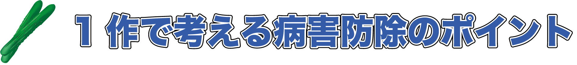 きゅうりの病害防除のポイント