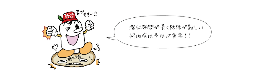 潜伏期間が長く防除が難しい褐斑病は予防が重要!!