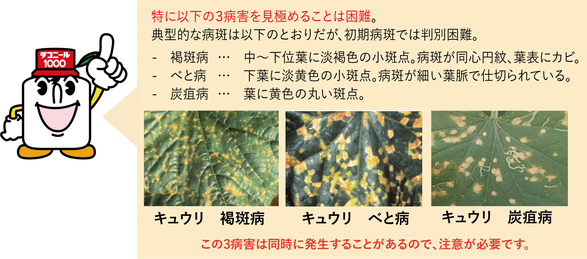 特に以下の３病害を見極めることは困難。典型的な病斑は以下のとおりだが、初期病斑では判別困難。