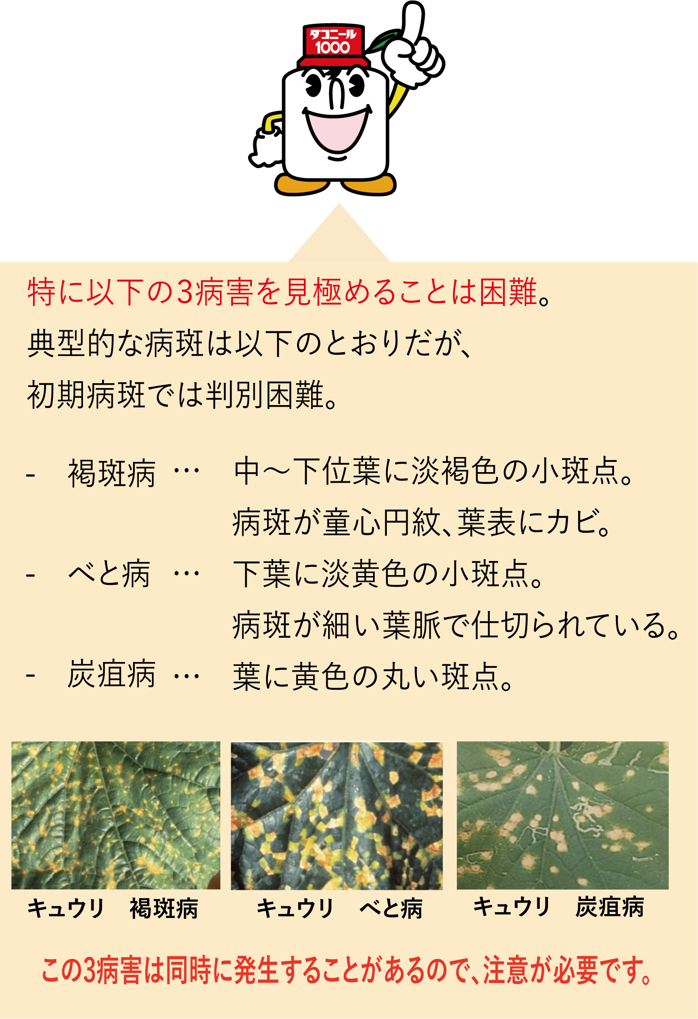 特に以下の3病害を見極めることは困難。典型的な病斑は以下のとおりだが、初期病斑では判別困難。