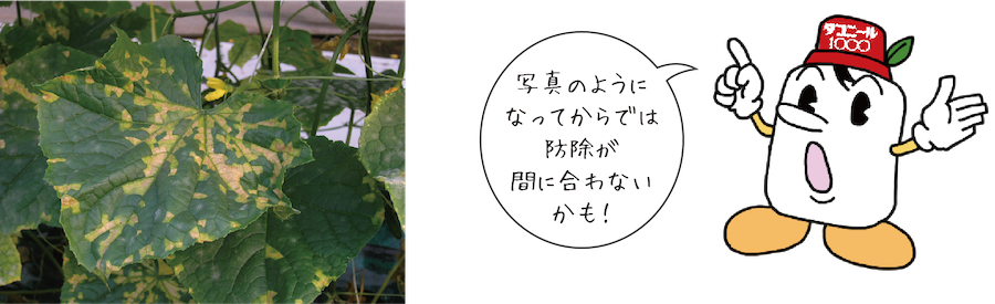 べと病 写真のようになってからでは防除が間に合わないかも!