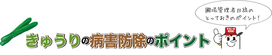 きゅうりの病害防除のポイント