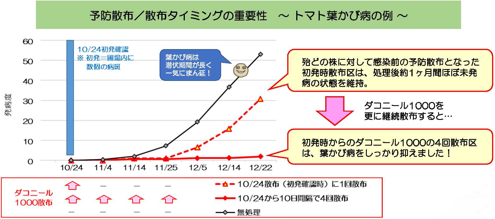 殆どの株に対して感染前の予防散布となった初発時散布区は、処理後約1ヶ月間ほぼ未発病の状態を維持。ダコニール1000を更に散布すると、初発時からのダコニール1000の4回散布区は、葉かび病をしっかり抑えました!