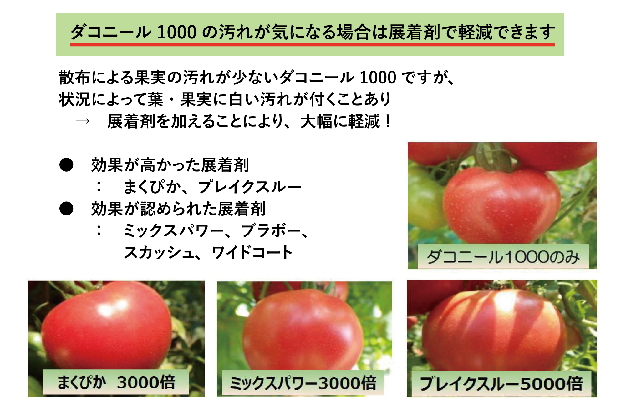 ダコニール1000の汚れが気になる場合は展着剤で軽減できます 散布による果実の汚れが少ないダコニール1000ですが、状況によって葉・果実に白い汚れが付くことあり → 展着剤を加えることにより、大幅に軽減 !● 効果が高かった展着剤:まくぴか、プレイクスルー ● 効果が認められた展着剤:ミックスパワー、ブラボー、スカッシュ、ワイドコート