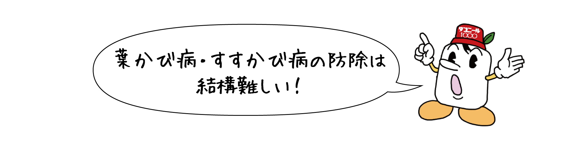 葉かび病・すすかび病の防除は結構難しい!
